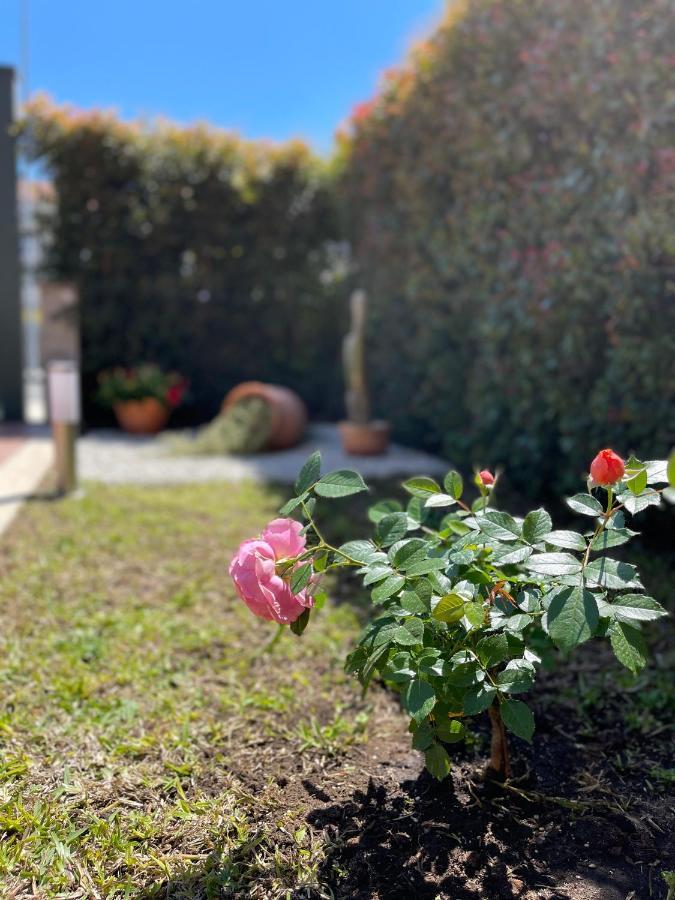 Mb Giurati Suites Mascali Exteriör bild
